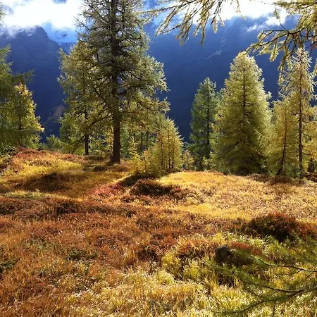 Bergruh 公寓 萨斯费