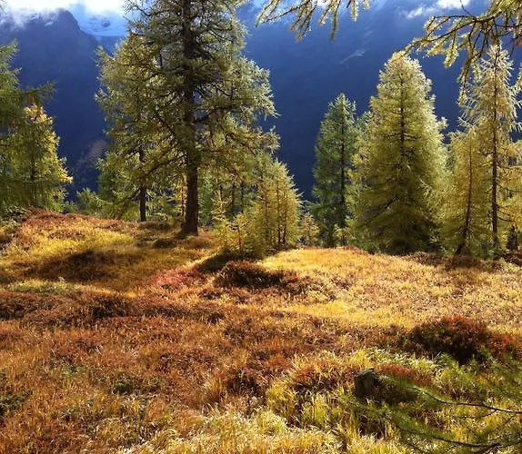 Bergruh Lägenhet Saas Fee