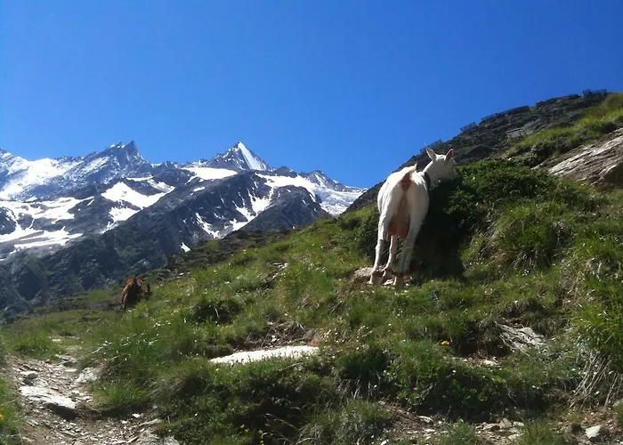 Bergruh Saas-Fee