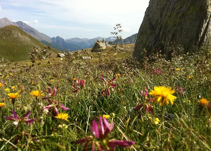 Bergruh Appartement *