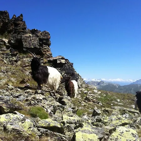 Bergruh * Saas-Fee